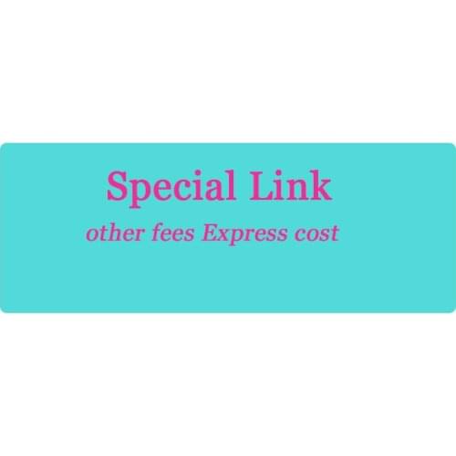 Express Cost other shipping Fee