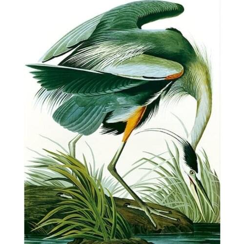 GATYZTORY DIY Frame Painting By Numbers Animals Paint By Numbers On Canvas Crane 60x75cm Frame Number Painting