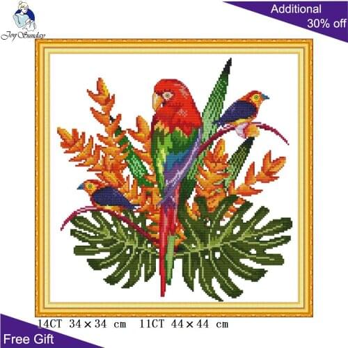 Joy Sunday Parrot Embroidery Home Decor DA340 14CT 11CT Counted and Stamped Beautiful Parrot Cross Stitch Kits
