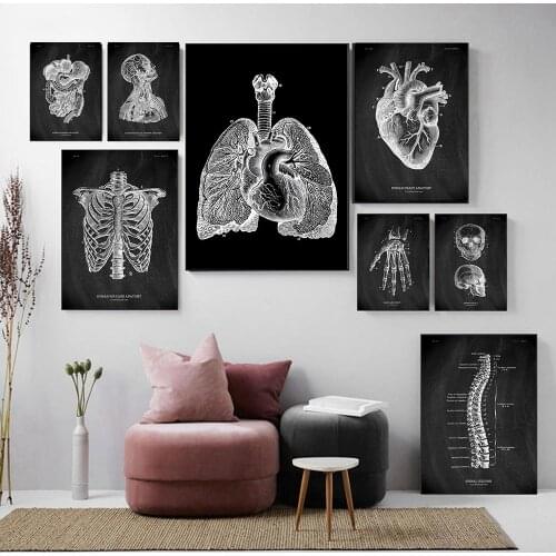 Human Anatomy Artwork Medical Wall Picture Skeleton Organ Muscle System Vintage Poster Canvas Print Body Education Painting