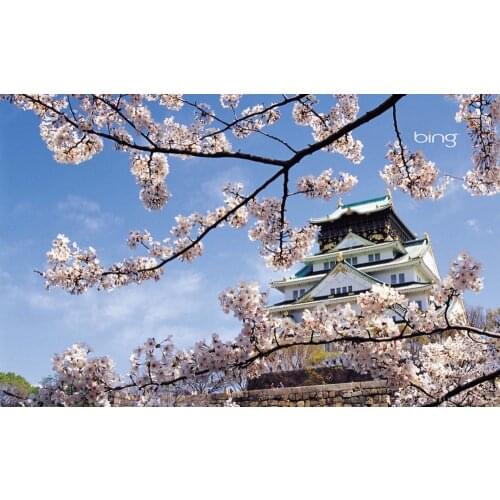 Home Decor Osaka Castle Japan-Silk Art Poster Wall Sicker Decoration Gift