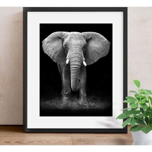 Diamond Embroidery Elephant Full Round Diamond Painting Cross Stitch Animal Rhinestone Mosaic Home Decoration