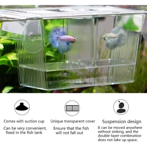 Aquarium Incubator Breeding Box Clear Breeder Fish Tank Isolation Hatching Box Accessory for Clownfish Guppy 2 Sizes Au23 21