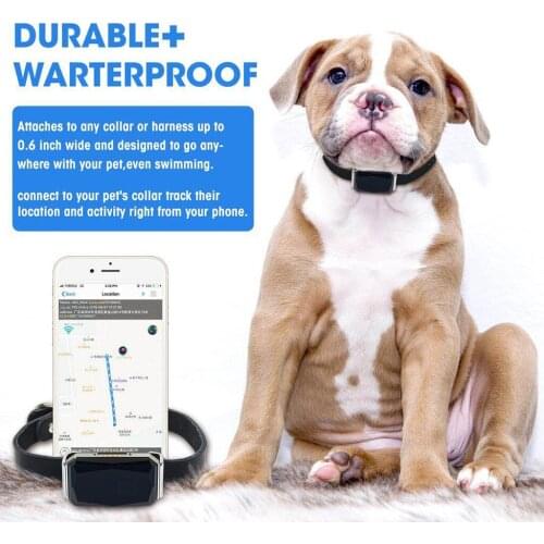 IP67 Waterproof Pet Collar GSM GPS Tracker LBS RF Tracking Activity Monitor for Pets Dogs Cats Cattle Sheep Tracking Locator