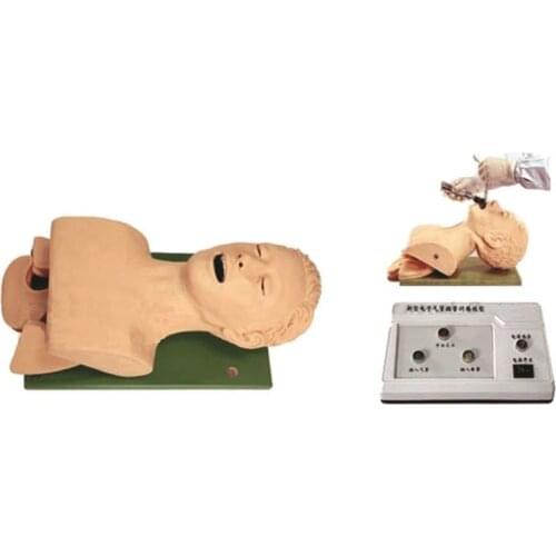 Medical Electronic Airway Intubation Training Model