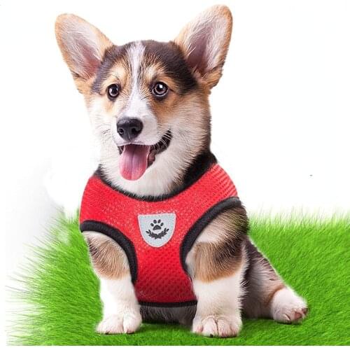 Nylon Mesh Cat Harness And Leash Breathable Kitten Cats Harnesses Small Dog Puppy Harness For French Bulldog Chihuahua Pug