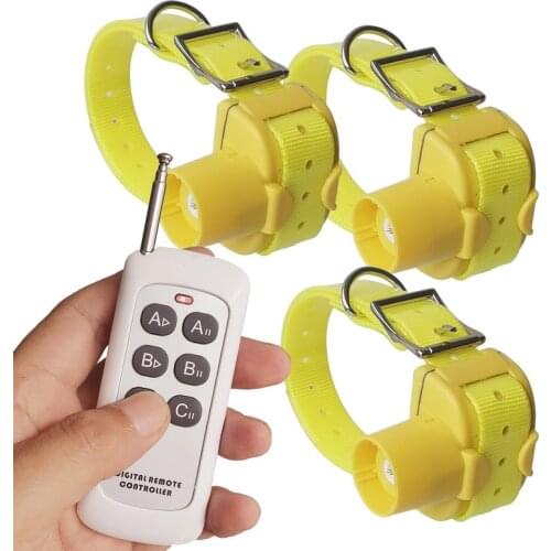 With 3 Collars Beeper Remote Control Dog Training Collar for Hunting Dog Within Rechargeable Tracking Collars BNF