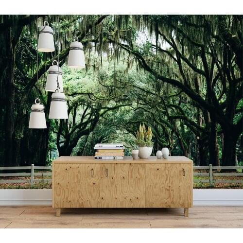 Decorative wallpaper Arched forest corridor scene background wall painting