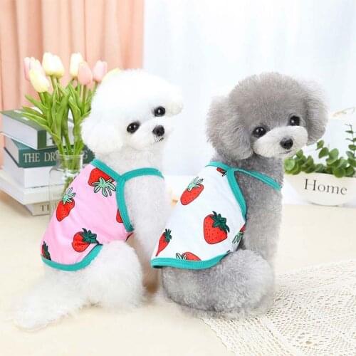 Teddy Pet Strawberry Sling Dress New Spring Summer Collection Casual Dog Costume Pet Clothes For Small And Medium Dogs