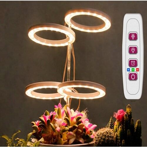 SANMUSION Plant Lamps