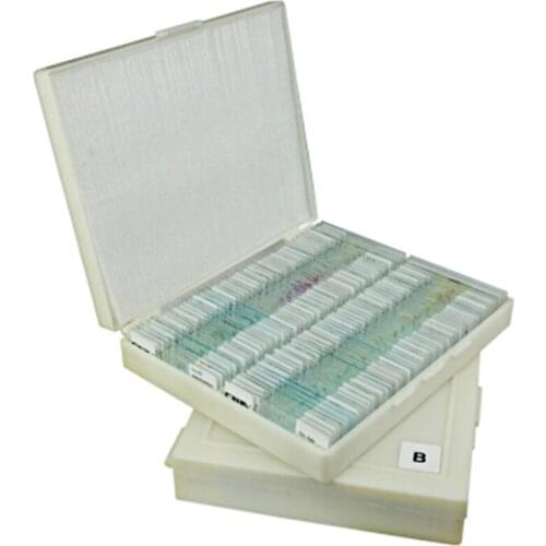 Развивающие игрушки Ciwa China At AliExpress