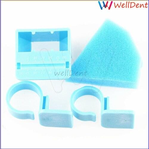 Dental Finger Ring Ruler Endodontic File Autoclavable Holder With Sponge Blue Dental Instrument Dental Lab