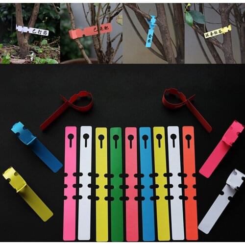 200PCS Plastic Plant Tree Hanging Markers Tags Nursery Seed Gardening Labels New