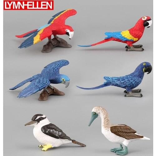 6 Pcs Wildlife Bird Series Animal PVC Model Collectible Action Figure Educational Kid Children Puzzle Toys Gifts