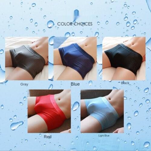 EACIECK NEW Mens Boxer Briefs Summer Ice Silk Seamless Thin Bamboo Fiber Breathable Mesh Large Size Boxer Shorts Underpants