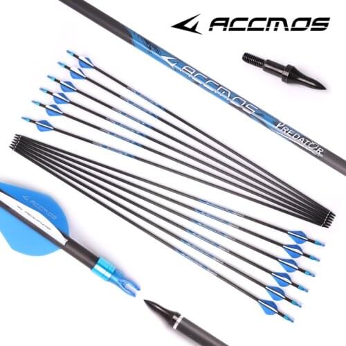 12pc 32 inch Spine 250 300 340 400 500 600 700 800 Pure Carbon Arrow ID 6.2 mm Archery For Compound /Recuvre Bow Hunting