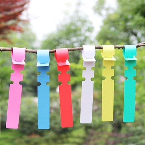 100PCs Gardening Vegetable Potato Tomato Watermelon Strawberry Plant Label Strip Line Garden Label Plant Hanging Tag