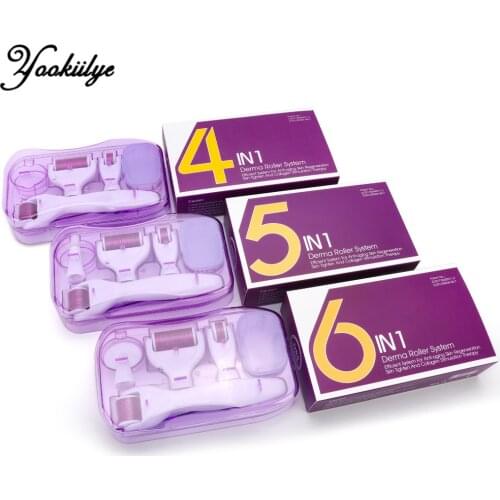 4/5/6 In 1 Derma Roller Micro Needle Roller Kit Micro Needles Titanium Microneedle Mezoroller Machine Skin Care BodyTreatment