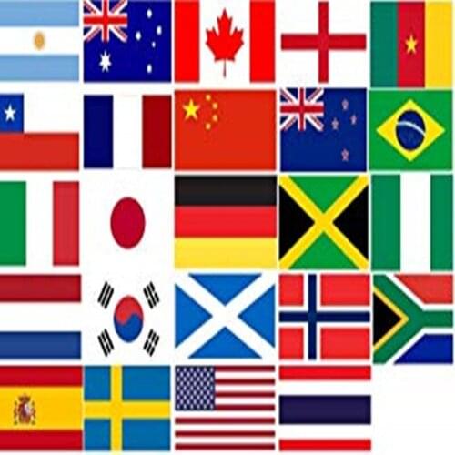 2019 Womens Football World Cup Hand Flags With Poles Set of 24 Countries Team Small 14x21cm banderas for Club soccer Fans
