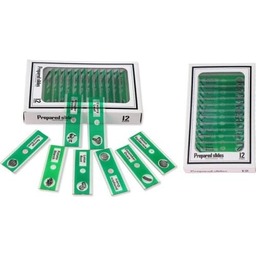 12 slices vegetables Biological teaching equipment for childrens high permeability Plastic Specimen microscope