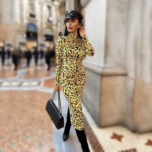 Free shipping winter new ladies fashion leopard print full sleeve warm zipper long sexy dress streetwear