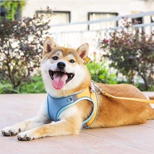CAWAYI KENNEL Pet Harness + Leash Set Training Walking Leads for Cats Dogs Reflective Harness Collar Adjust Leashes Set D5105