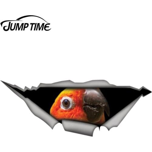 Jump Time 13cm x 4.8cm Sun conure parrot sticker bird car decal Torn Metal Decal Funny Car Stickers Window Bumper 3D Car Styling