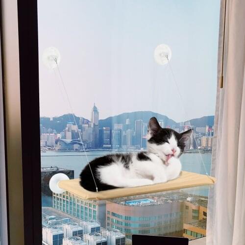 Pet Hammock Cat Puppy Window Mounted Basking Bed Pet Shelf Kitten Perch Seat High Hammock Windowsill Cat Sucker Small Hammocks