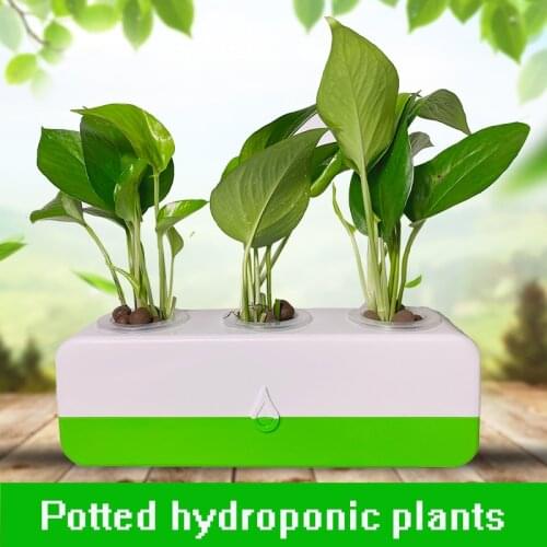 Hydroponic plant flowerpot indoor hydroponic desktop green Plant potted soilless cultivation planting gardenbox