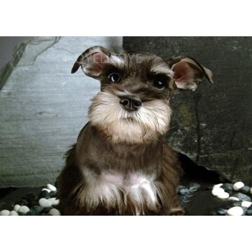 5D DIY Diamond Painting Full Round picture of Rhinestones 3D Diamond Embroidery Schnauzer Dogs Pet Mosaic Decor Wholesale FG1242