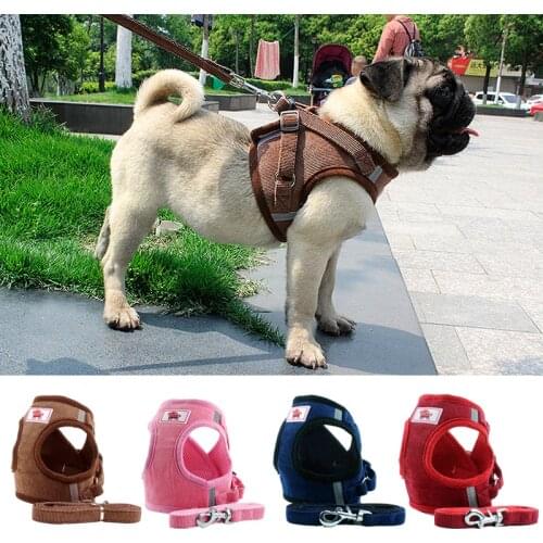 Paercute Toys And Goods For Creativity