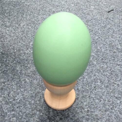 1:1 Simulation Wooden Egg DIY Hand Painted Doodle Easter Egg Play House Toy Pretend Play Toys Rattle For Children