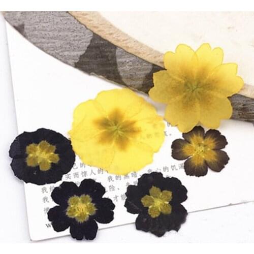 2017 Primula Yellow / Black Real Pressed Flowers Resin Cell Phone Case For Aroma Candle Decoration Free Shipment 1 lot/100pcs