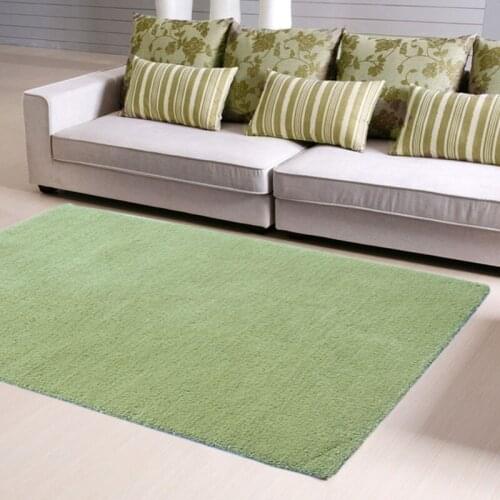 Terylene 1700g soft wire carpet living room carpet coffee table carpet multicolor