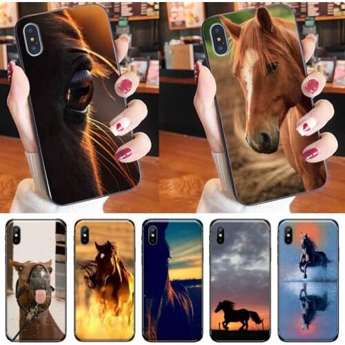Frederik The Great beauty horse Phone Case for iPhone 11 12 pro XS MAX 8 7 6 6S Plus X 5S SE 2020 XR