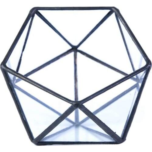 Glass Terrarium Storage Box Jewelry Holder,Glass Geometric Terrarium Tabletop Succulent Plant Box Planter Holder Case