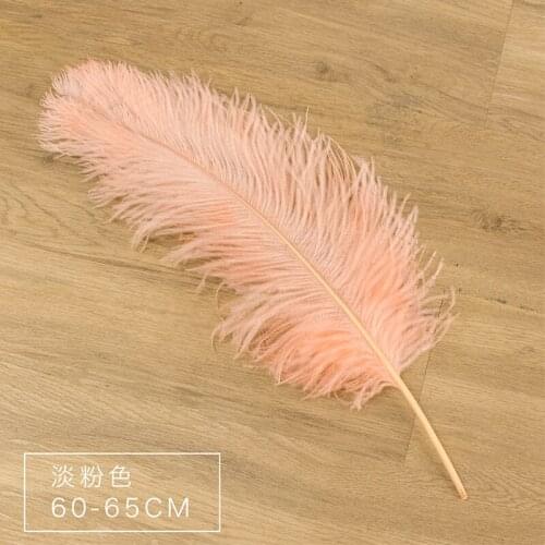 Free Shipping 50pcs champagne pink color Dyed fluffy ostrich feathers in 55-60cm 22-24inch for wedding decorations