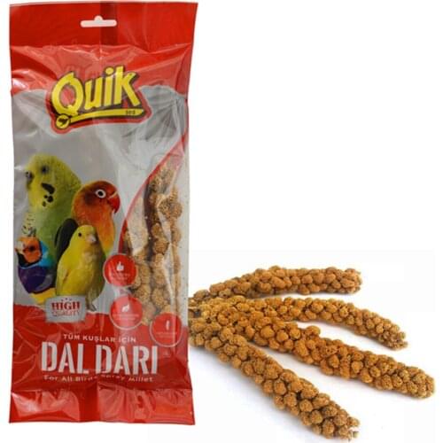 Quik naturel food feed millet for birds and parrots