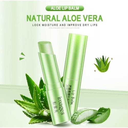 Aloe Vera Soft Lip Balm Long Lasting Deep Moisturizing Lips Care Makeup Lipsticks Anti-cracking Women New dropshipping TSLM1