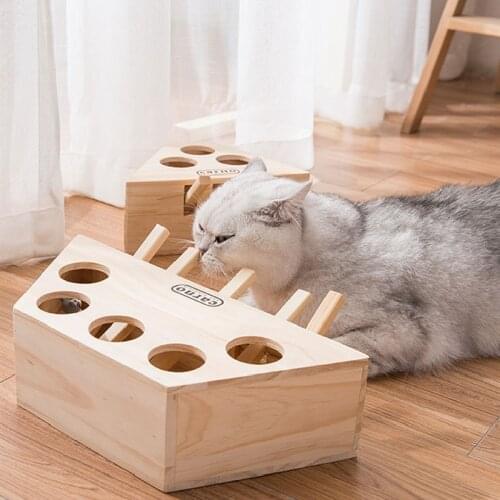 OLOEY Toys For Cats