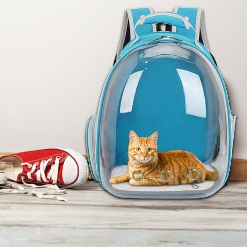 Ventilable Transparent Pet Cat Backpack Mr. Mrs. Kitty Travel Back Cat House Bag Capsule Cafe Shop Take A Walk Kitten Carrier
