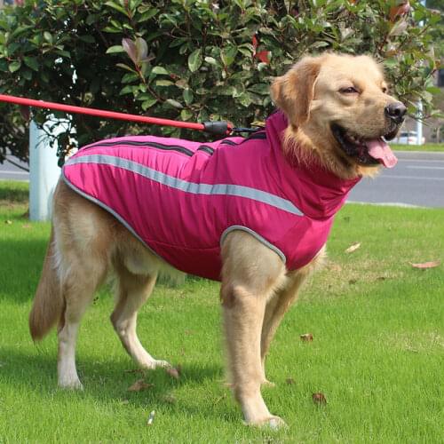 Quality Large Dog Raincoat Waterproof Dog Poncho Vest for Big Dogs Outdoor Pet Autumn Vest Rain Cap Blue Golden Retriever Husky