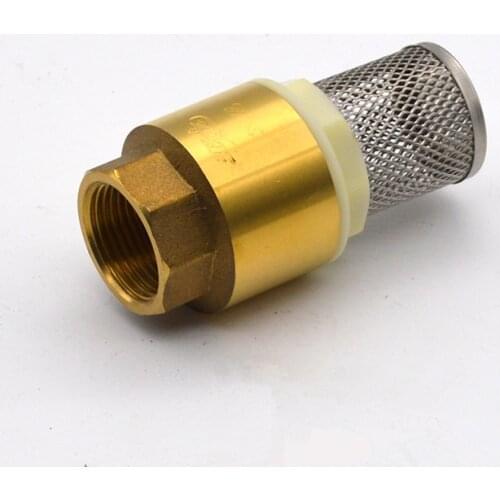 Brass One Way Valve Check Valve Non Return with Strainer Filter 1/2" BSPT Female Threaded