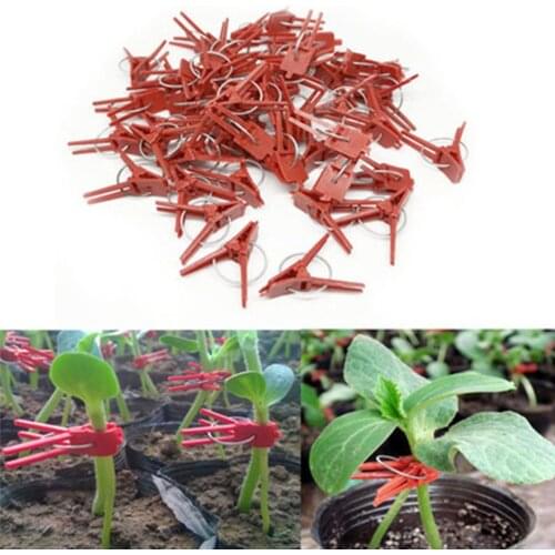 50pcs Plastic Plant Support Clips Clamps For Plants Hanging Vine Garden Greenhouse Vegetables Tomatoes Clips Garden Graft Clip