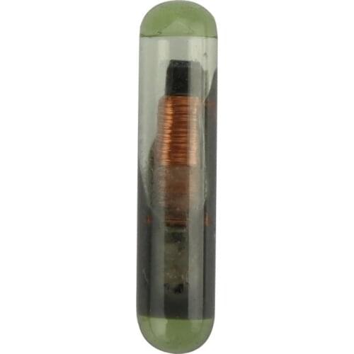 10PCS/Lot Transponder Key Chips ID48 ID 48 Glass Transponder Chip High Quality Key transponder chip ID48 For VW Audi Skoda