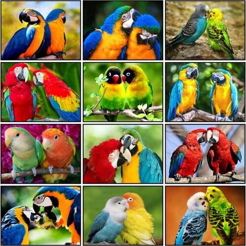 Full Square/ Round Diamond Painting Set Parrot Diamond Embroidery Mosaic Cross Stitch Pictures Animals Bird Home Decoration Gift