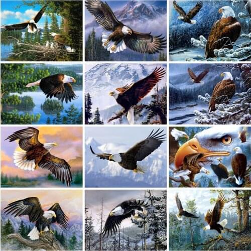 EverShine 5D DIY Diamond Painting Eagle Cross Stitch Diamond Embroidery Animal Mosaic Kits Mountain Handmade Gift Needlework