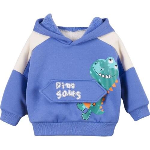 Spring Autumn New Infant Girl Cotton Clothes Children Cartoon Thicken Hoodies Toddler Boys Fashion Casual Clothing