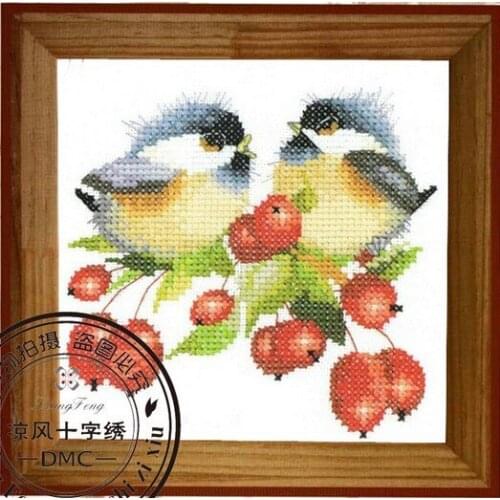 Birds fruit cross stitch kit animal lovers DMC silk Thread Handmade DIY sets stitching embroidery needlework wall home decor Y&Q