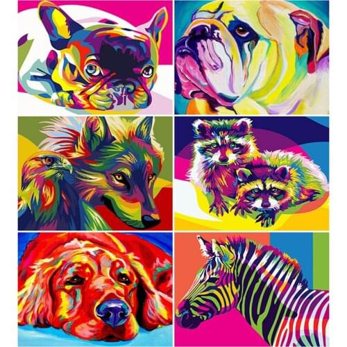 HUACAN Paint By Numbers Dog Animal Drawing On Canvas Oil Painting Art Gift DIY Pictures By Number Raccoon Kits Home Decor